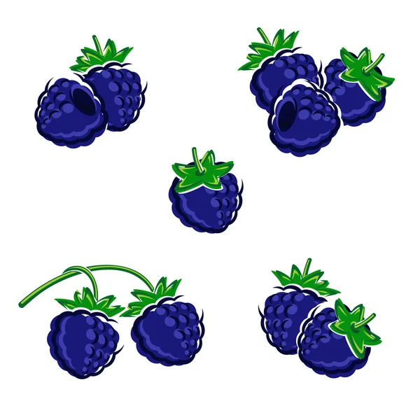 Juego de moras. Vector — Vector de stock