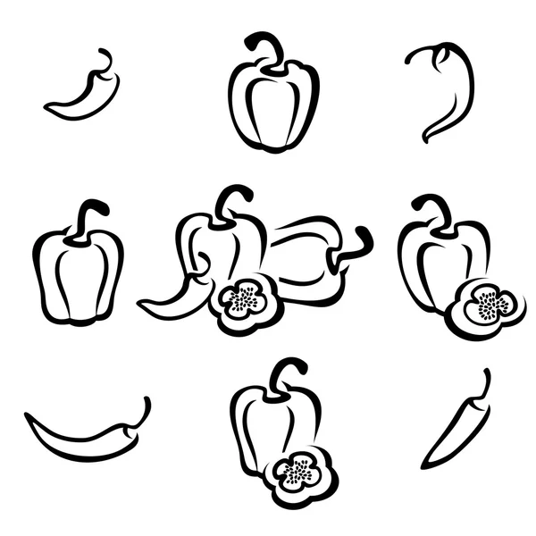 Conjunto de chile y pimienta. Vector — Archivo Imágenes Vectoriales