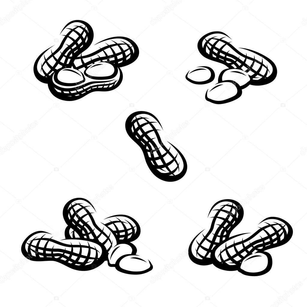 Peanuts set. Collection icon peanuts. Vector