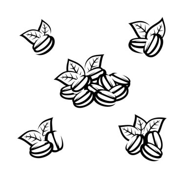 Kahve çekirdekleri. Koleksiyon ikonu kahvesi. Vektör