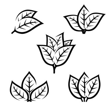 Tütün yaprağı simgeleri ayarlandı. Koleksiyon ikonu tütünü. Vektör