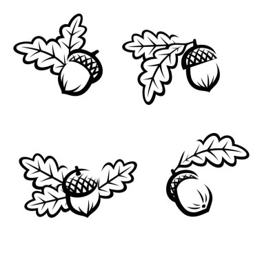 Meşe palamudu hazır. Koleksiyon ikonu meşe palamudu. Vektör