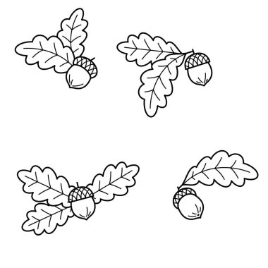 Meşe palamudu hazır. Koleksiyon ikonu meşe palamudu. Vektör
