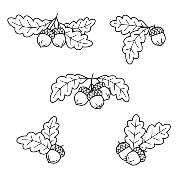 Bolotas Prontas Coleção Bolotas Ícone Vetor —  Vetores de Stock