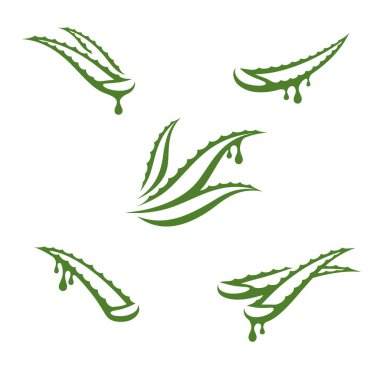 Aloe Vera ayarlandı. Koleksiyon ikonu Aloe Vera. Vektör illüstrasyonu