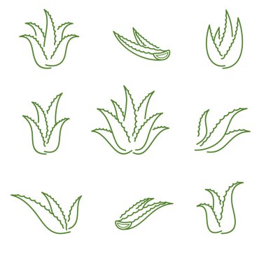 Aloe Vera ayarlandı. Koleksiyon ikonu Aloe Vera. Vektör illüstrasyonu