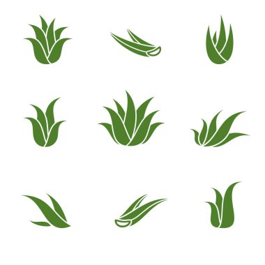 Aloe Vera ayarlandı. Koleksiyon ikonu Aloe Vera. Vektör illüstrasyonu