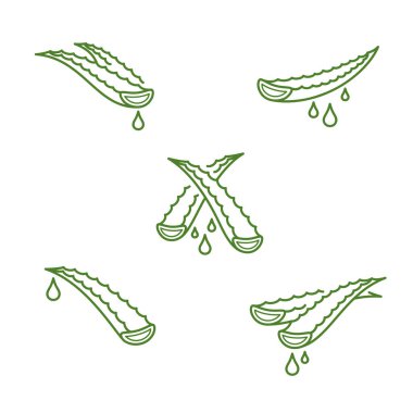 Aloe Vera ayarlandı. Koleksiyon ikonu Aloe Vera. Vektör illüstrasyonu