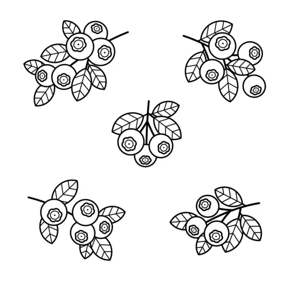 Blueberries Definidas Coleção Ícone Mirtilos Ilustração Vetorial — Vetor de Stock