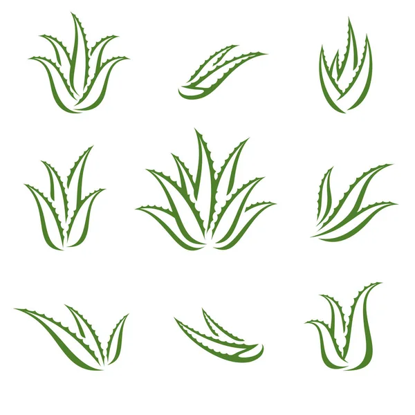 Aloe Vera Est Prête Icône Collection Aloe Vera Illustration Vectorielle — Image vectorielle