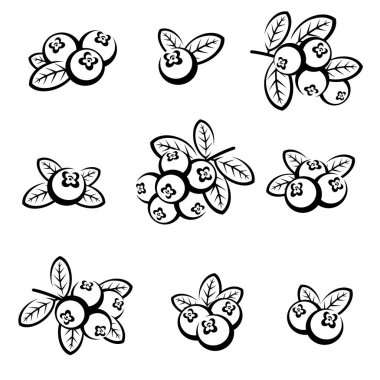 Kızılcık seti. Yaban mersini koleksiyonu. Vektör illüstrasyonu