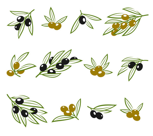 Olives set. Collection icon olives. Vector illustration