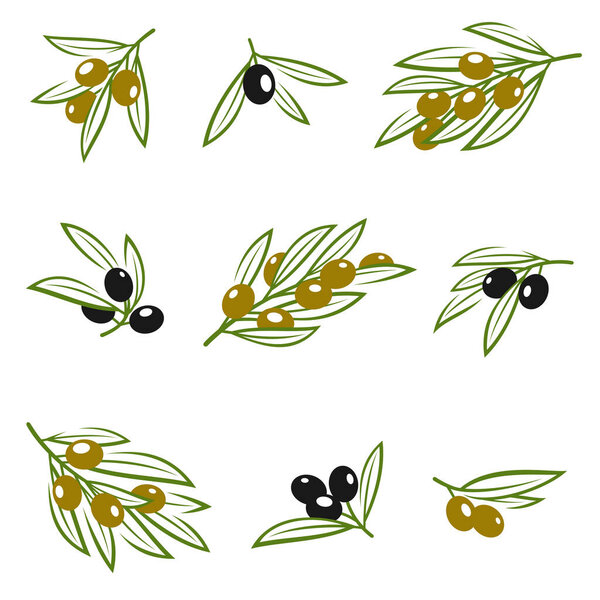 Olives set. Collection icon olives. Vector illustration