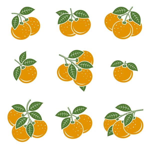 Conjunto Mandarín Iconos Colección Mandarina Ilustración Vectorial — Vector de stock