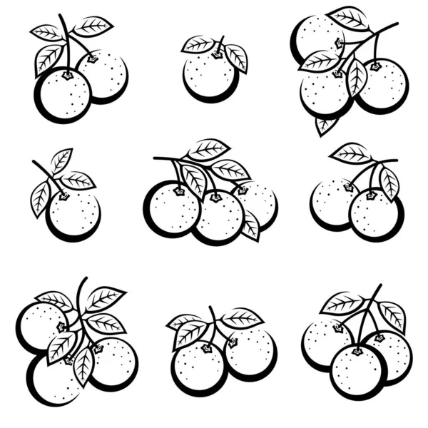 Naranjas Listas Iconos Colección Naranja Ilustración Vectorial — Archivo Imágenes Vectoriales