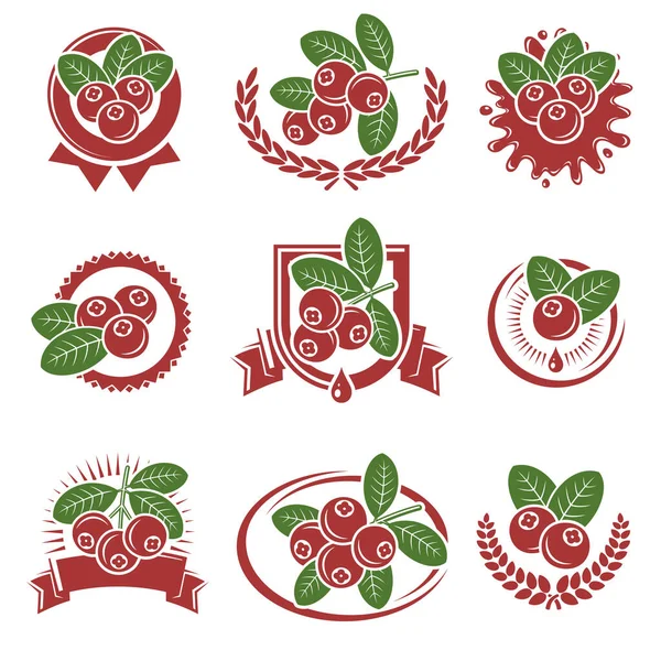 Cranberry Rótulo Ícones Definidos Icon Cranberry Ilustração Vetorial — Vetor de Stock