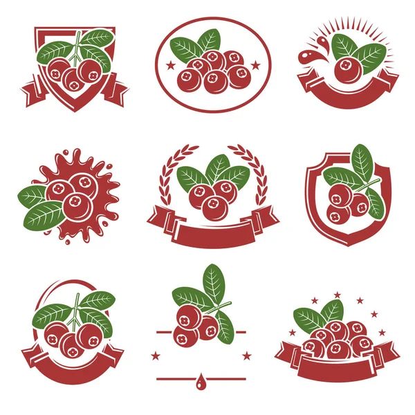 Cranberry Etikett Und Symbole Gesetzt Ikone Preiselbeere Vektorillustration — Stockvektor