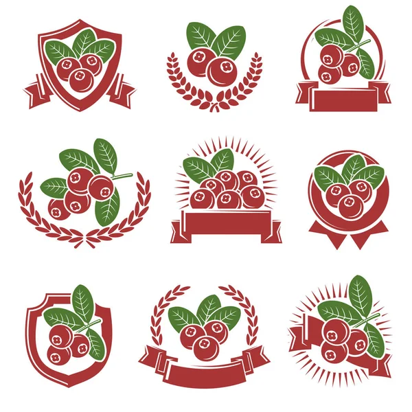 Set Etiquetas Iconos Arándano Icono Arándano Ilustración Vectorial — Vector de stock