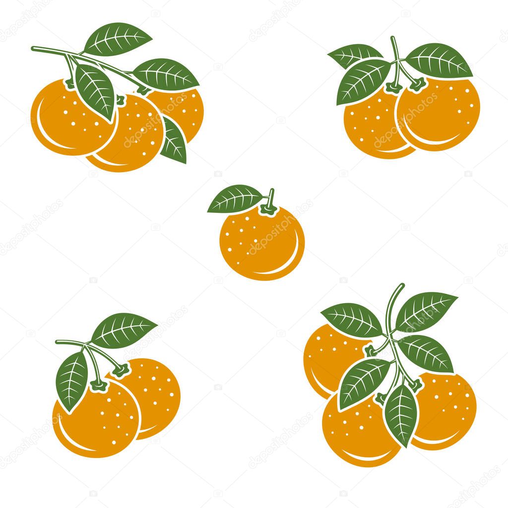 Mandarin set. Collection icons mandarin. Vector illustration