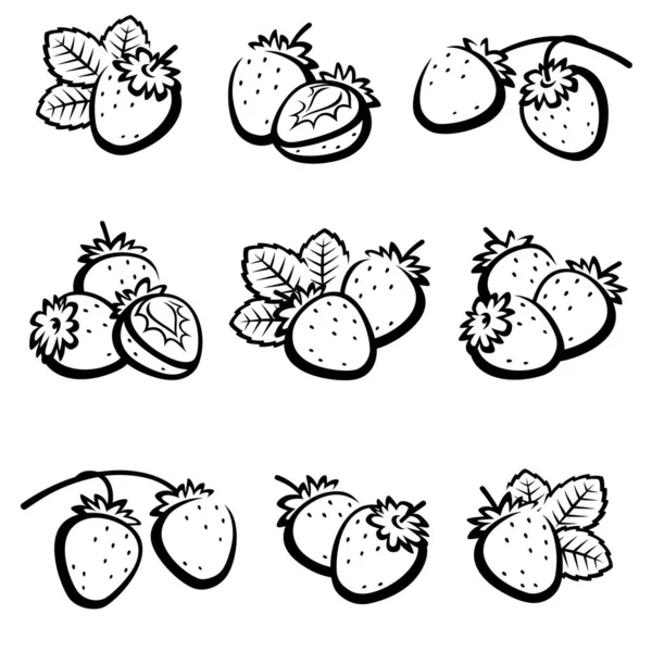 Erdbeeren Set Sammlung Symbole Erdbeere Vektorillustration — Stockvektor