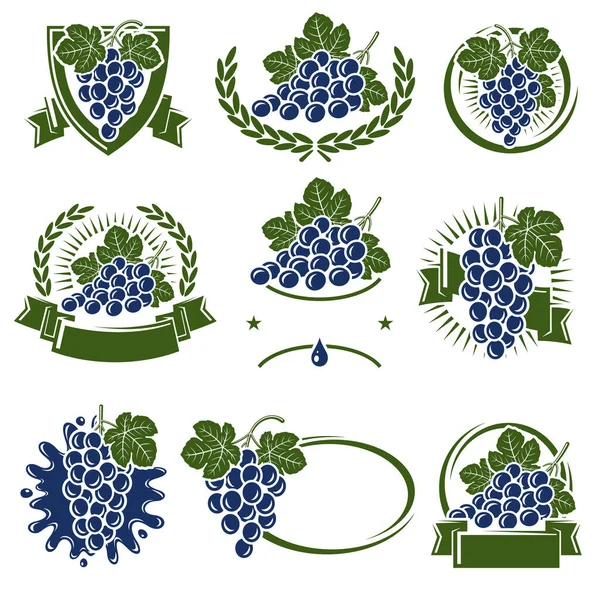 Виноградная Этикетка Набор Иконок Коллекция Иконок Винограда Векторная Иллюстрация — стоковый вектор