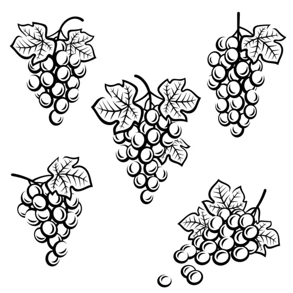 Set Uvas Colección Iconos Uvas Ilustración Vectorial — Archivo Imágenes Vectoriales