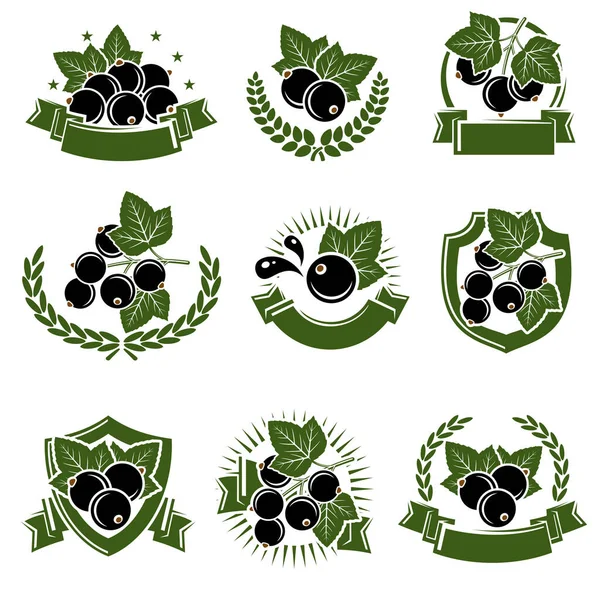 Black Currant Label Icons Set Icon Black Currant Vector Illustration — Stock Vector