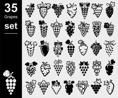 Üzüm seti. Üzüm ikonu koleksiyonu. Vektör illüstrasyonu