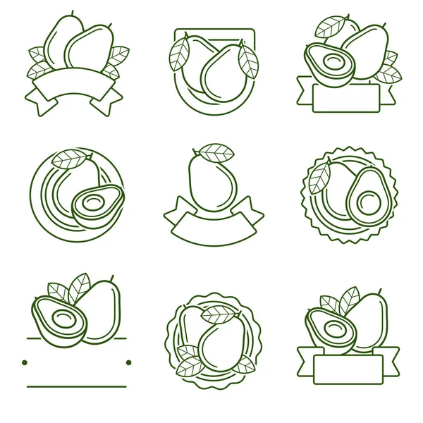 Set Etiquetas Iconos Aguacate Iconos Colección Aguacate Ilustración Vectorial — Archivo Imágenes Vectoriales