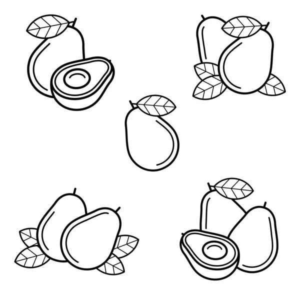 Set Aguacate Iconos Colección Aguacate Ilustración Vectorial — Vector de stock