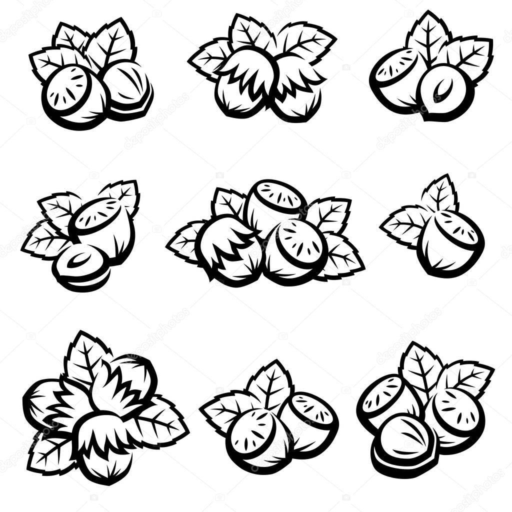 Hazelnut nuts set. Collection icon hazelnut nuts. Vector illustration