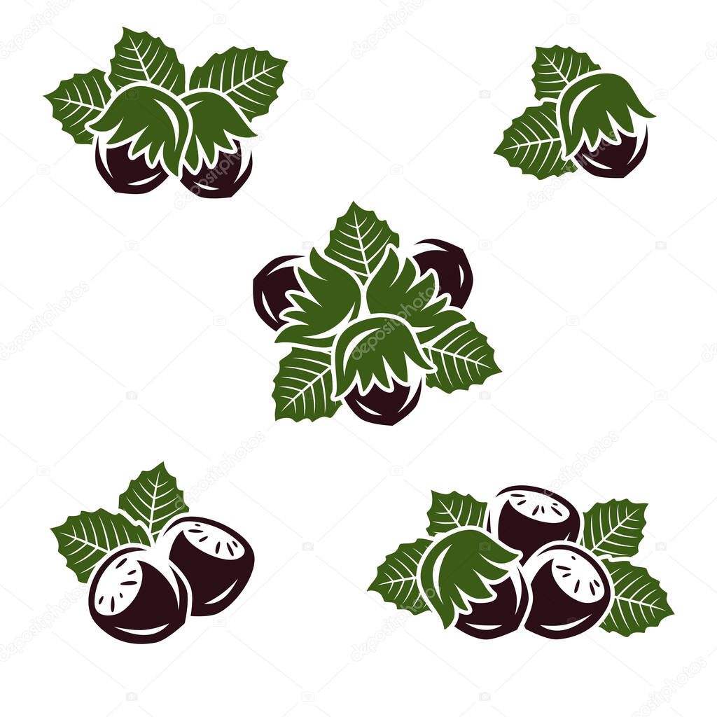 Hazelnut nuts set. Collection icon hazelnut nuts. Vector illustration