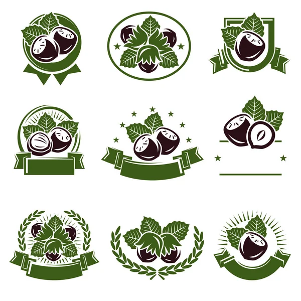 Etiqueta Avellanas Conjunto Iconos Icono Colección Avellanas Ilustración Vectorial — Vector de stock