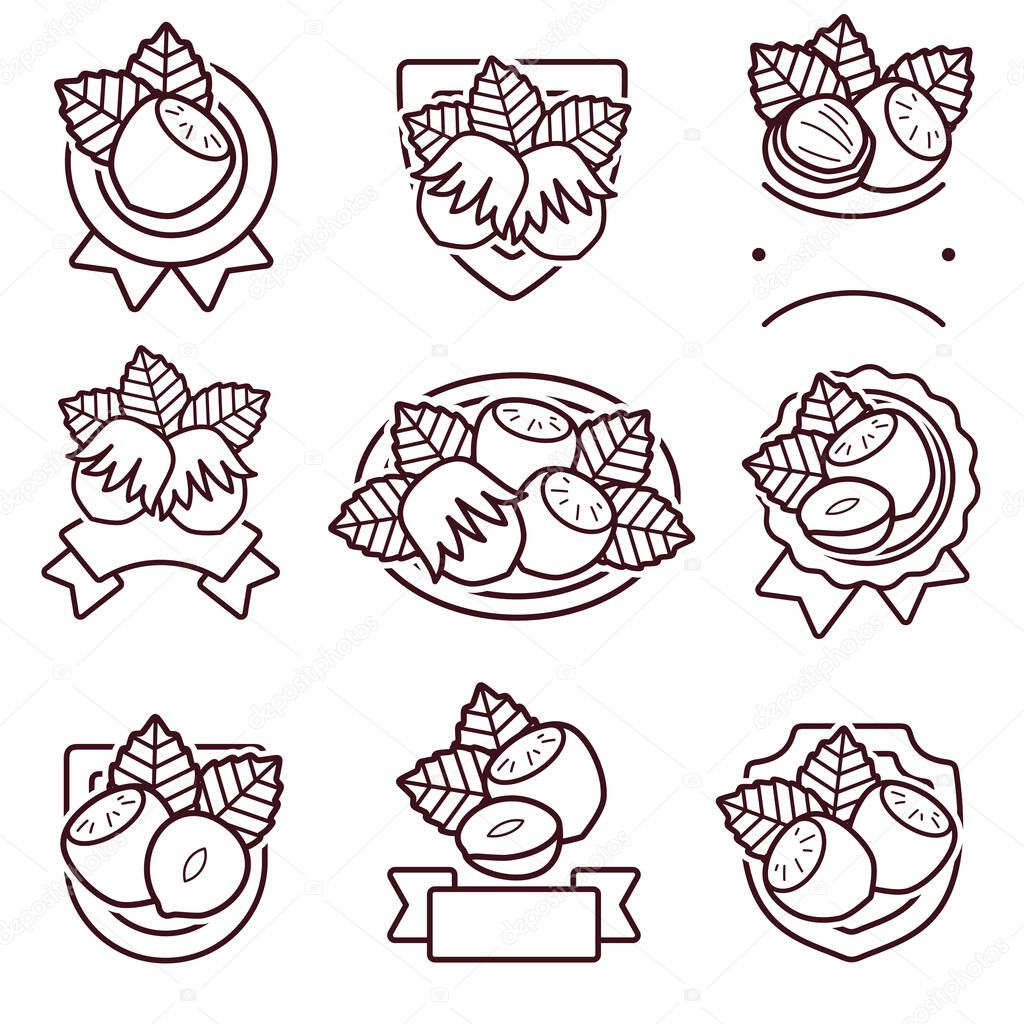 Hazelnut nuts label and icons set. Collection icon hazelnut nuts. Vector illustration