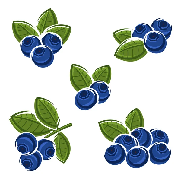 Blueberries set — Stock Vector