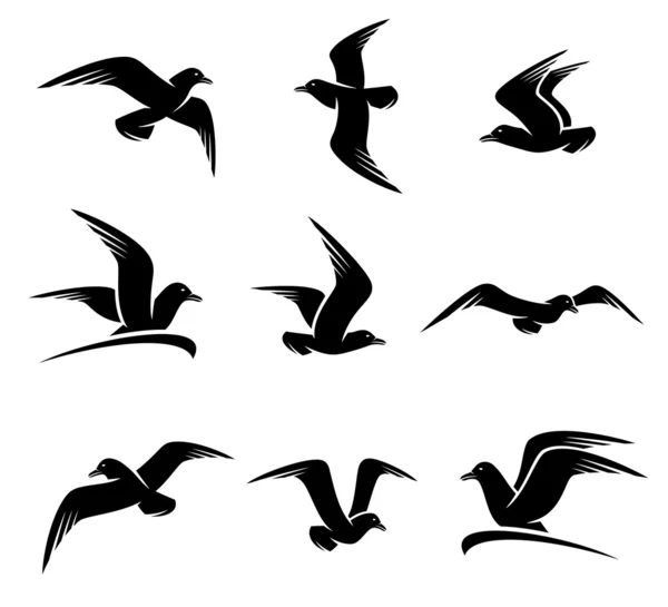 Seagull set — Stock Vector