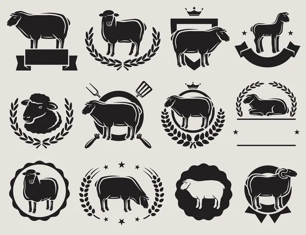 Koyun ve kuzu etiketleri kümesi — Stok Vektör