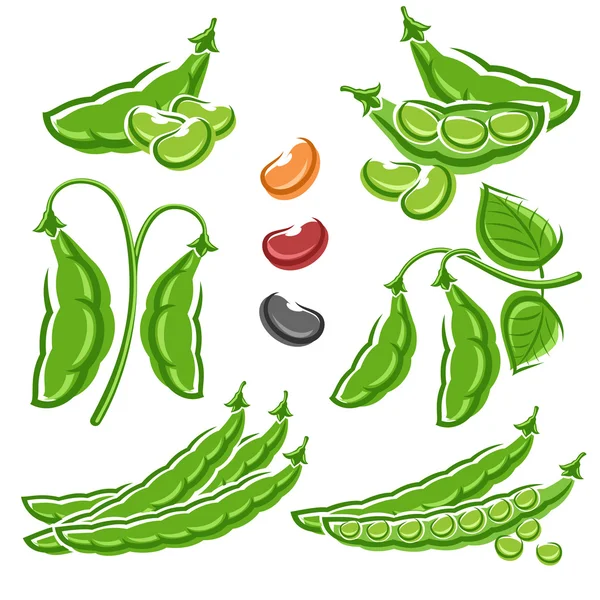 Beans set. — Stock Vector