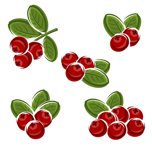 Cranberry készlet. — Stock Vector