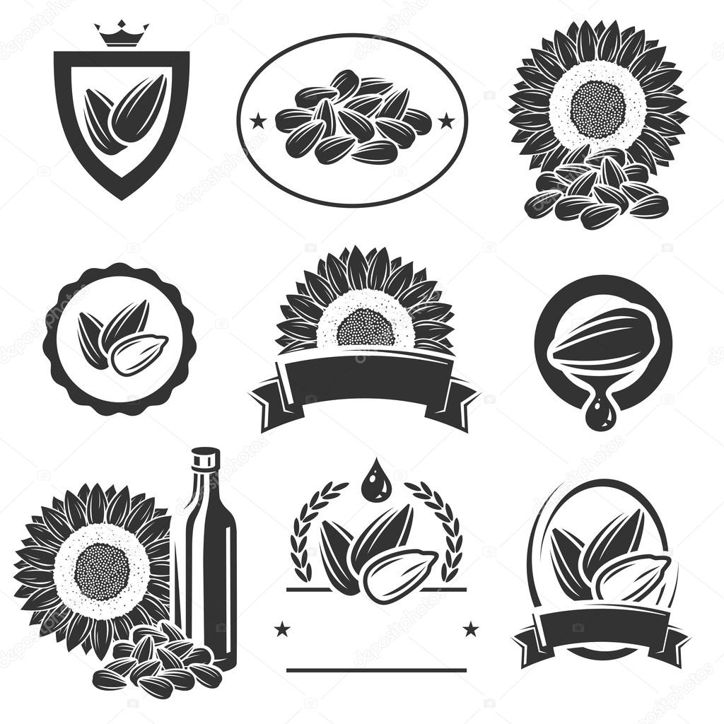 Sunflower seeds label and elements set
