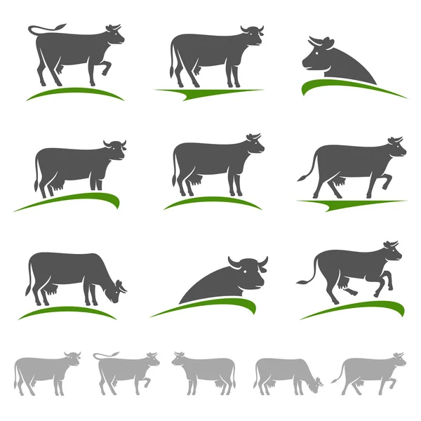 Conjunto de animales de vaca . — Vector de stock