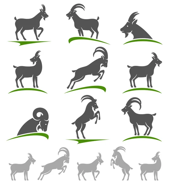 Goat animal set. — Stock Vector