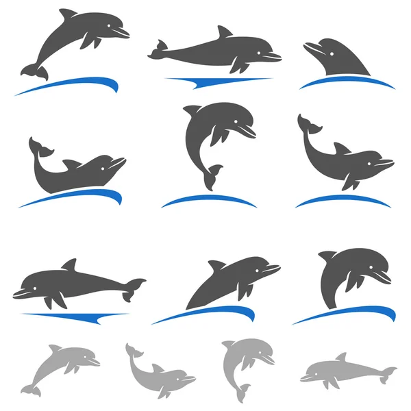 Delfines lindos conjunto — Vector de stock