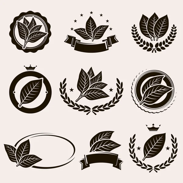 Tobak leaf etikett och ikoner set — Stock vektor