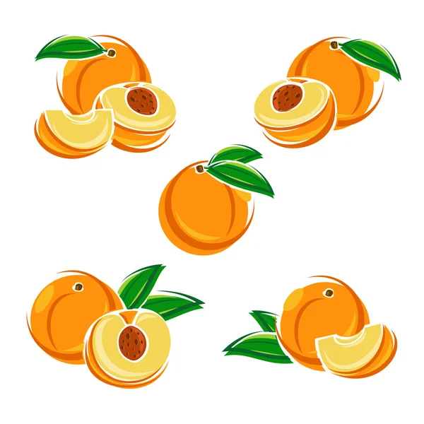 Ripe peach set — Stock Vector