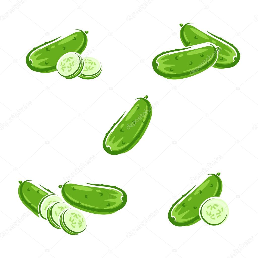 Cucumbers set. Vector