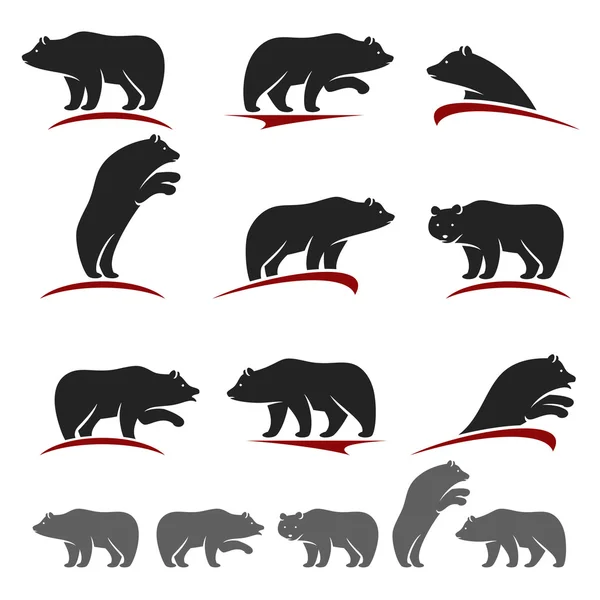 Bear set. Vector — Stock Vector