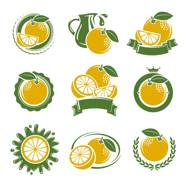 Grapefruit labels and elements set. Vector — Stock Vector