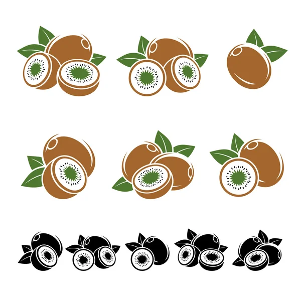 Kiwi készlet. Vektor — Stock Vector