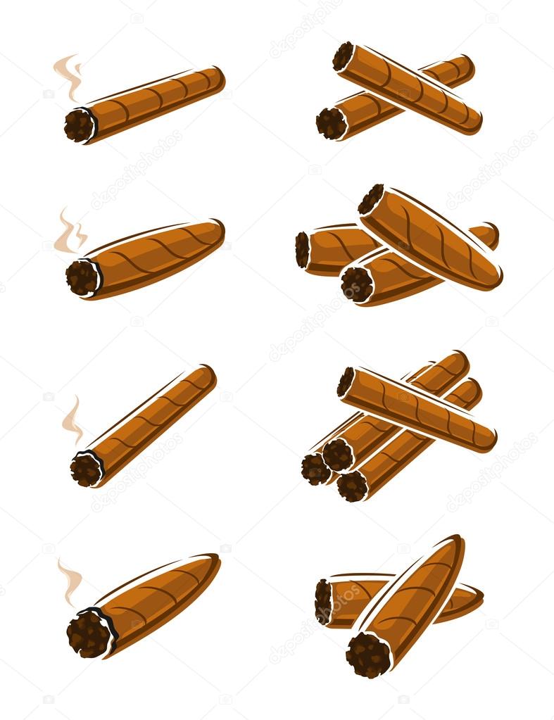 Cigars set. Vector
